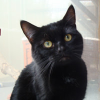 Edmund